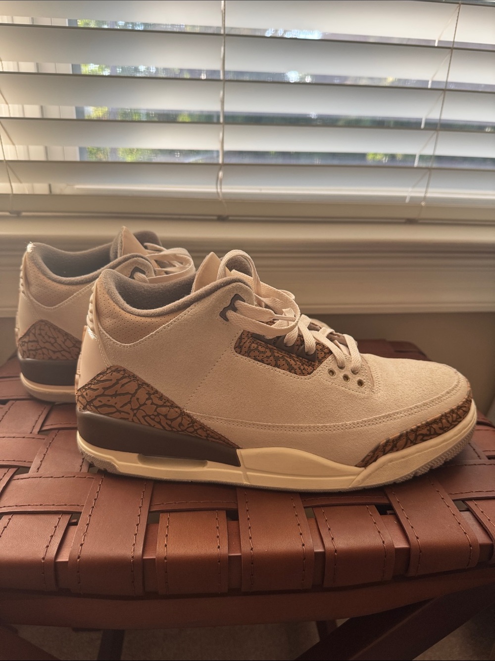 Air Jordan 3 retro Basketball Sneakers